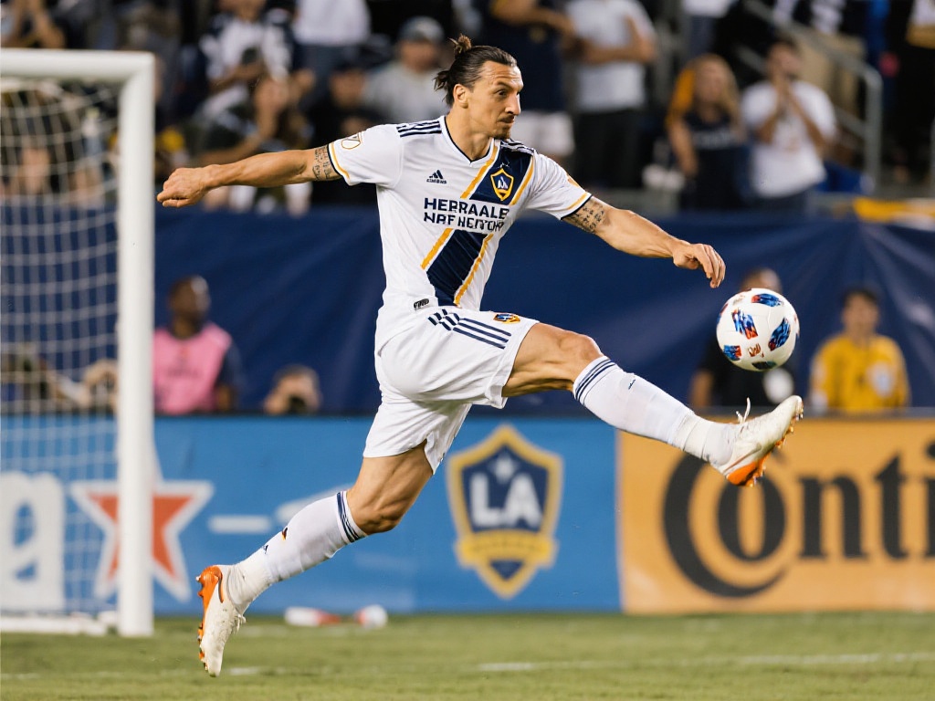 趣味预测活 趣味预测活